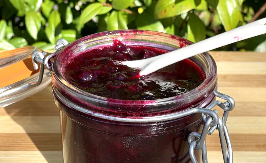 Marmellata di mirtilli